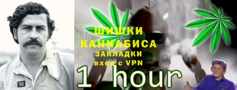 купить  цена  Бабаево  Бошки Шишки THC 21% 